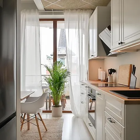 3-story Penthouse In Old Lejlighed Riga